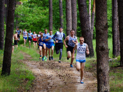 Поздравляем команду института с победой на чемпионате по легкоатлетическому кроссу