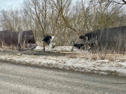 Село Устинка Белгородского района попало под обстрел со стороны Украины