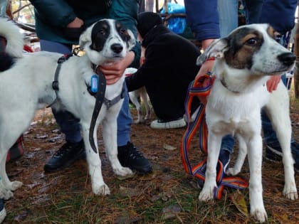 Вышел в свет свежий выпуск газеты «Наш Белгород»