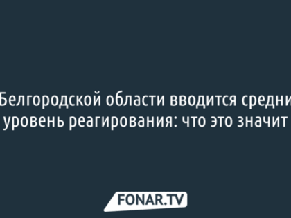 Въезжающие и выезжающие из Белгородской области машины могут досматривать