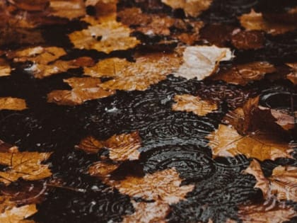 В Белгороде завтра ожидаются сильные дожди