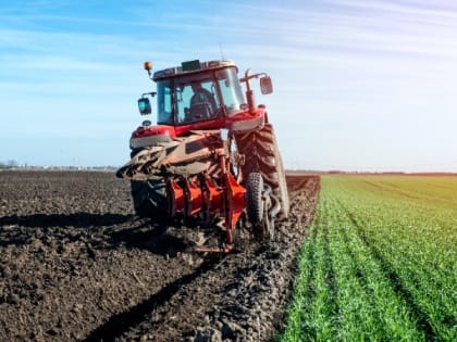 Комплекс мер государственной поддержки для малых форм хозяйствования был внедрён в регионе