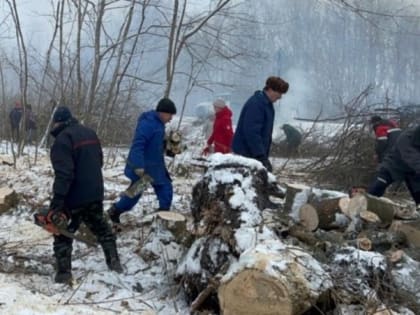 Субботник по заготовке дров для военнослужащих прошёл в селе Истобное губкинской территории