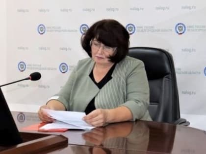 Электронное взаимодействие налогоплательщиков и налоговых органов в Белгороде