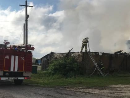 Белгородские огнеборцы выезжали девять раз на ликвидацию пожаров за минувшую неделю
