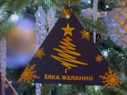 Губернатор Белгородской области Вячеслав Гладков дал старт «Ёлке желаний»