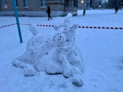 Губкинец Василий Лёксин рассказал, как и зачем создаёт снежные фигуры