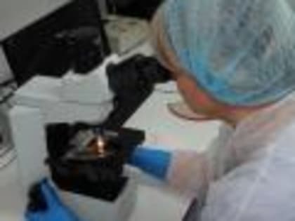 Специалисты Белгородской испытательной лаборатории помогли с выбором антибиотика для лечения животных