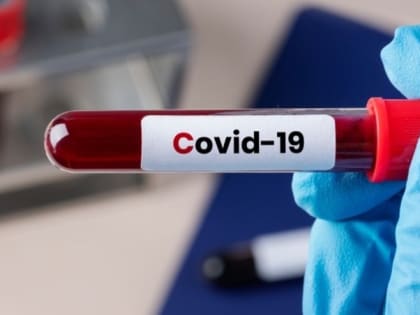 Шесть человек заболели коронавирусом за минувшую неделю в Белгородском районе