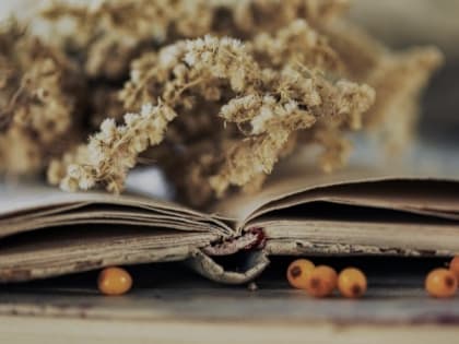 Татьяна Котлярова из Орлика прислала новое письмо в рубрику «Акварель поэзии»