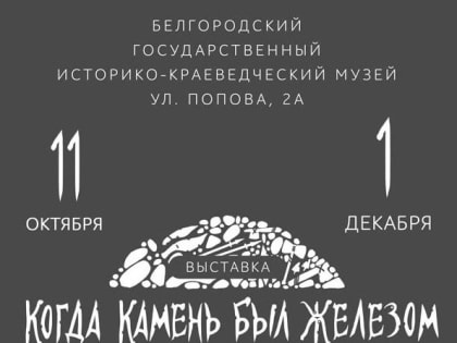 Белгородцев приглашают на выставку «Когда камень был железом»