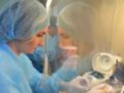 Вирус блютанга в Белгородской области не обнаружен