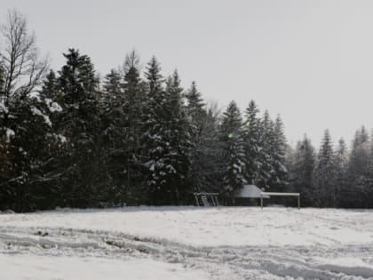 Температура воздуха опустится до 13 градусов мороза на территории Белгородской области 17 января