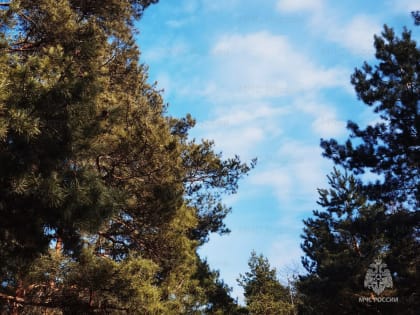 Температура воздуха в регионе опустится дo 8˚ мороза