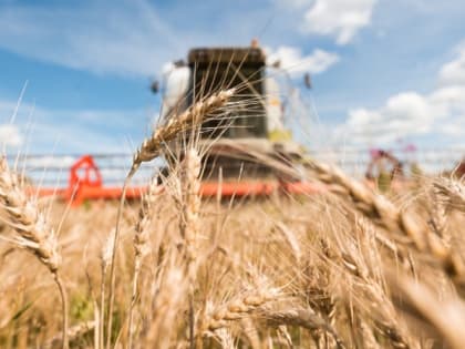 Белгородская область вошла в десятку регионов с наибольшим объёмом экспорта продукции АПК