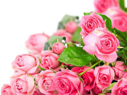 Коллектив НИУ «БелГУ» поздравляет с юбилеем Елену Анатольевну Огневу