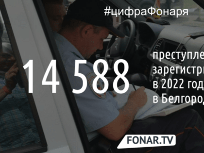 МВД: в Белгородской области стало в 17 раз больше преступлений с оружием