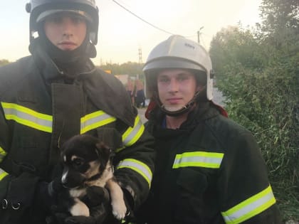 Белгородские спасатели ликвидировали 25 пожаров за неделю