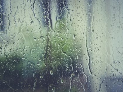 Тёплая и дождливая погода придёт на территорию Белгородской области завтра