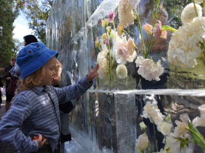 Чем запомнился первый день проекта «Белгород в цвету»