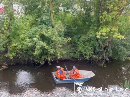 Ситуация с отоплением в Белгороде: проблемы и решения