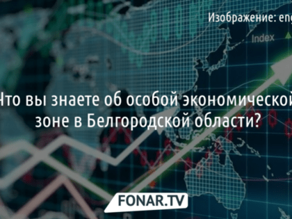 Без решения депутатов Госдумы в Белгородской области не создадут свободную экономическую зону