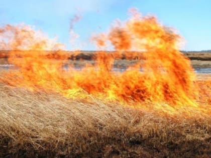 Спасатели напомнили губкинцам об опасности пала сухой травы