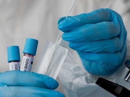 Белгородские медучреждения успешно справились с заболеваемостью COVID-19 в 2022 году