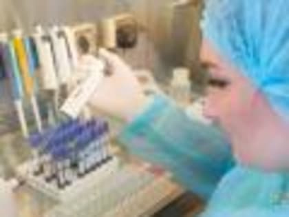 Положительных случаев  на лейкоз в Белгородской испытательной лаборатории в мае не выявлено