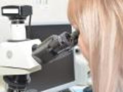 Более 7 тысяч исследований проведено специалистами отдела карантина растений Белгородской испытательной лаборатории в сентябре