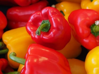 Диетолог напомнил россиянам о пользе болгарского перца