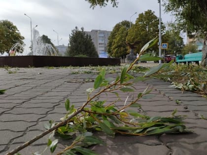 В Губкине прогнозируют ветер с порывами до 17 м/с