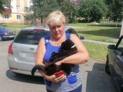 Яковлевские спасатели помогли коту вернуться домой к хозяйке