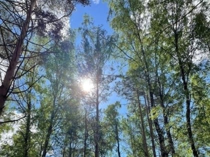 Внимание! Завтра в регионе ожидается сильная жара