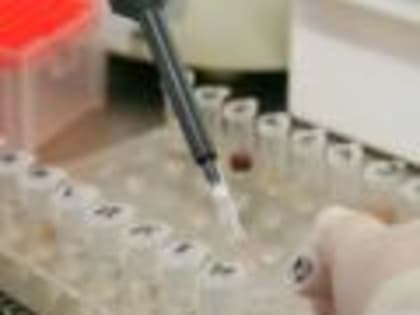 Специалисты Белгородской испытательной лаборатории проверили корма на энтеровирусы