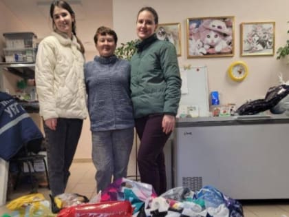 Более 12 тысяч белгородцев стали участниками акции «Протяни руку лапам»