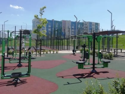 В Белгородской области подвели итоги реализации федерального проекта «Спорт – норма жизни» за пять лет