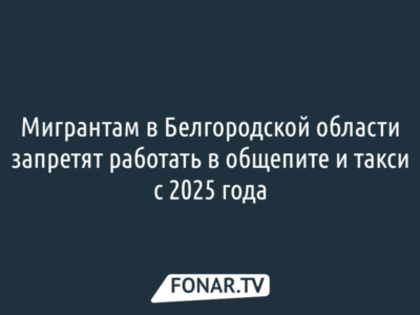 Вдвое меньше иностранцев стало в Белгородской области с 2022 года
