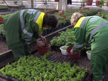 В Белгороде уже готовятся к предстоящему весеннему озеленению