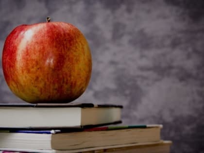 Дистанционное обучение в школах Яковлевского городского округа продлится до конца учебного года