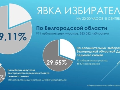 Белгородцы забирали со стендов листовки кандидатов в депутаты