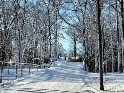 Вячеслав Гладков осмотрел велолыжероллерную трассу «Олимпия»