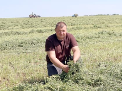 Вячеслав Артёменко: «Заготовка кормов – важный и ответственный момент»