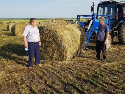 На Белгородчине продолжит действовать программа льготного кредитования сельхозбизнеса