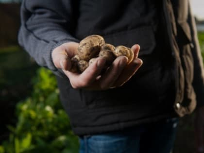 Конкурс грантов на поддержку с/х кооперативов и развитие семейных ферм стартовал для белгородцев