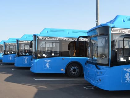 Белгородчина получит 600 млн рублей на покупку 47 автобусов
