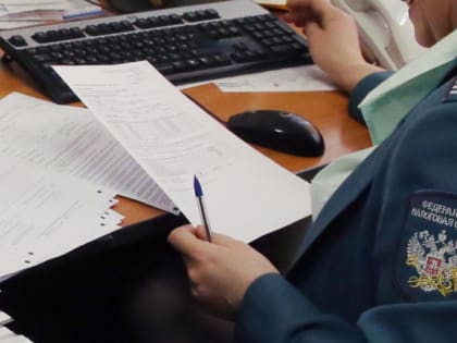 Налоговики вправе проводить «бездекларационные» проверки