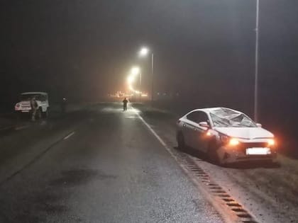 В Краснояружском районе в ДТП погиб лось