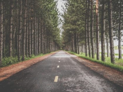 Студенты Белгородского госуниверситета обучат белгородских школьников основам ГИС