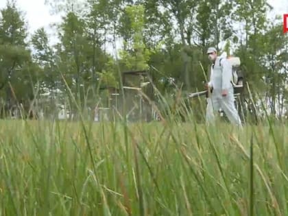 В&nbsp;Белгороде дезинфекторы обрабатывают парки, пляжи и&nbsp;все зелёные пространства от&nbsp;клещей